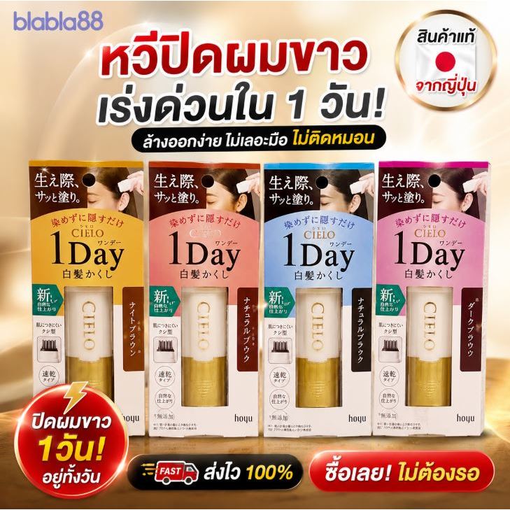 Hoyu Cielo 1 Day Hair Color Comb — หวีปิดผมขาวแบบวันเดียวจบ ปิดเนียนทันที