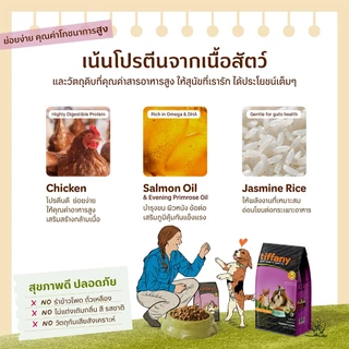 Tiffany Adult อาหารสุนัขโตพันธุ์เล็ก 15 กิโลกรัม (ม่วง)