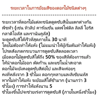 🔥พร้อมส่ง🔥 สารดูดซับสีดอกไม้ DIY 300 ml. เหมาะสำหรับดอกไม้ทุกชนิด