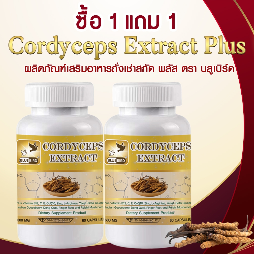 [1แถม1] ถั่งเช่าสกัด Cordyceps Extract ตรา บลูเบิร์ด ขนาด 600 มิลลิกรัม 60 แคปซูล