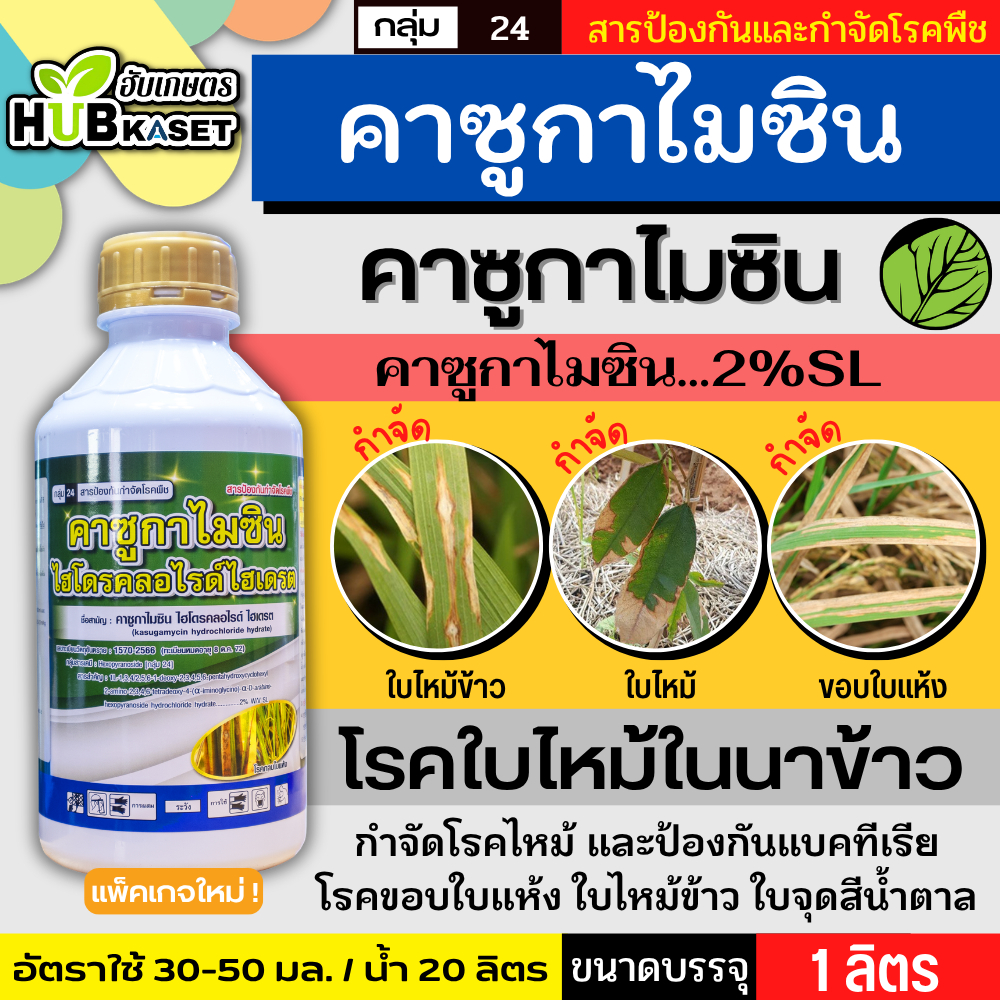 คาซูกาไมซิน 1ลิตร (ไก่เกษตร) ป้องกันเชื้อราโรคไหม้และแบคทีเรีย