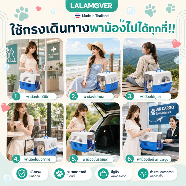 Lalamover กล่องเดินทางสัตว์เลี้ยง กรงหิ้วสัตว์เลี้ยง ผลิตในประเทศไทย รับประกันสินค้า มีแผ่นปูพื้น thumbnail 4
