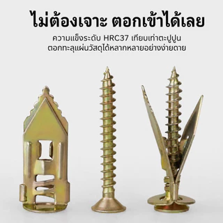 พุกยึดยิปซั่ม 100/200ชุด พุกผีเสื้อเหล็ก พุกยิบซั่ม สกรู พุกเหล็ก พุกผีเสื้อเหล็กยิปซั่ม พุกปีกผีเสืม สกรูขยายตัว