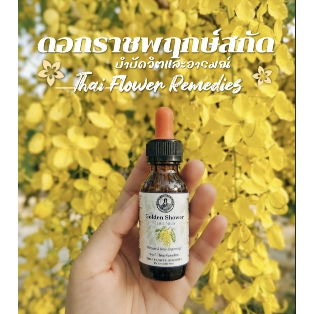 ดอกราชพฤกษ์สกัดเชิงพลังงานบำบัดจิตและอารมณ์ Thai flower rememdies