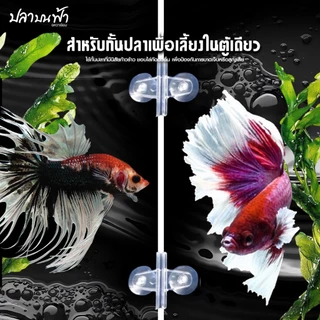 แผ่นกั้นตู้ปลา DIY สำหรับตู้ 20, 24, 30, 36 และ 48 นิ้ว ใช้สำหรับกั้นตู้ปลาโดยไม่ต้องดัดแปลง