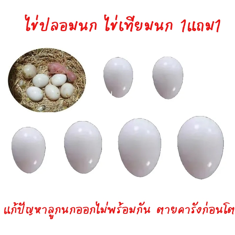 ไข่ปลอมนก ไข่เทียมนก ใช้แทนไข่จริง แก้ปัญหาลูกนกออกไม่พร้อมกัน ตายคารังก่อนโต ไข่นกปลอม เพิ่มอัตราการเพาะพันธุ์นก