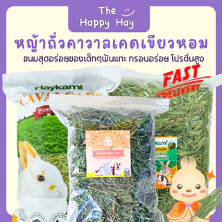 Happy Hay หญ้าถั่วคาวาลเคดเขียวหอม (500 กรัม) กรอบอร่อย โปรตีนสูง