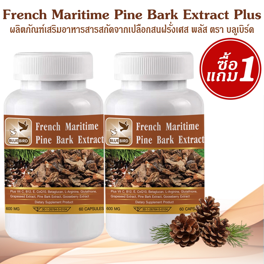 [1แถม1] French Maritime Pine Bark Extract Plus สารสกัดจากเปลือกสนฝรั่งเศส ตราบลูเบิร์ด 600มก. 60เม็ด