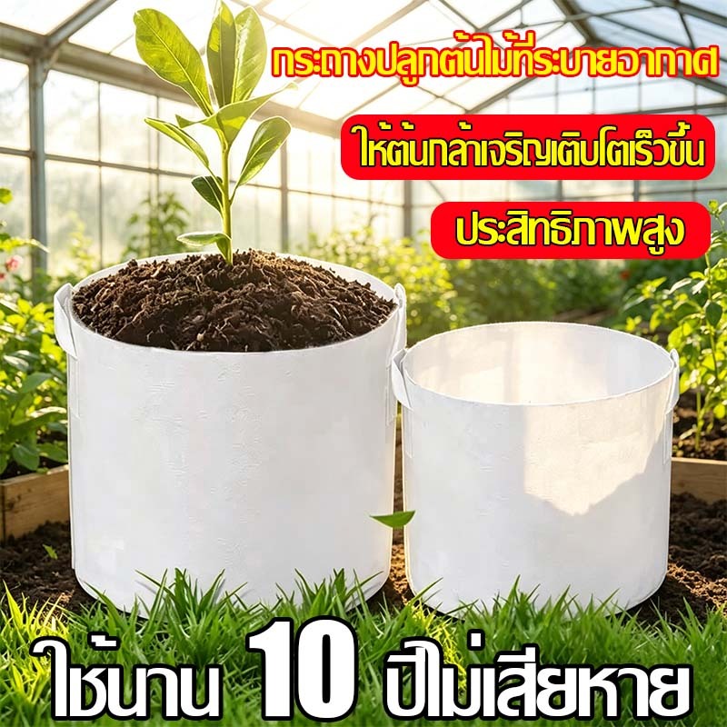 🌳ถุงปลูกต้นไม้ดีกว่ากระถางดอก100เท่า🌳ถุงปลูกสีขาวแสนดี ถุงปลูกผัก ถุงปลูกเมล่อน ทำจากผ้าไม่ทอคุณภาพสูง ทนทานเป็นพิเศษ