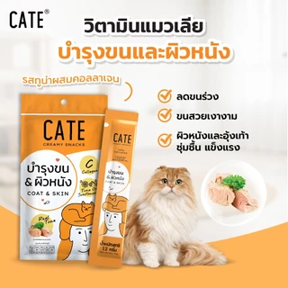 1แพ็ค (4 ซอง) CATE เคท ขนมแมวเลีย สูตรเสริมภูมิ พรีไบโอติก คอลลาเจน แคลเซียม