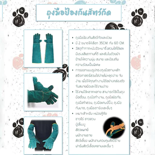 PETLUSCI ถุงมือกันกัด 35/60cm ถุงมือฝึกสุนัข ถุงมือจับแมว งกันการฉีกขาดและกัด ทำจากหนังวัวแท้