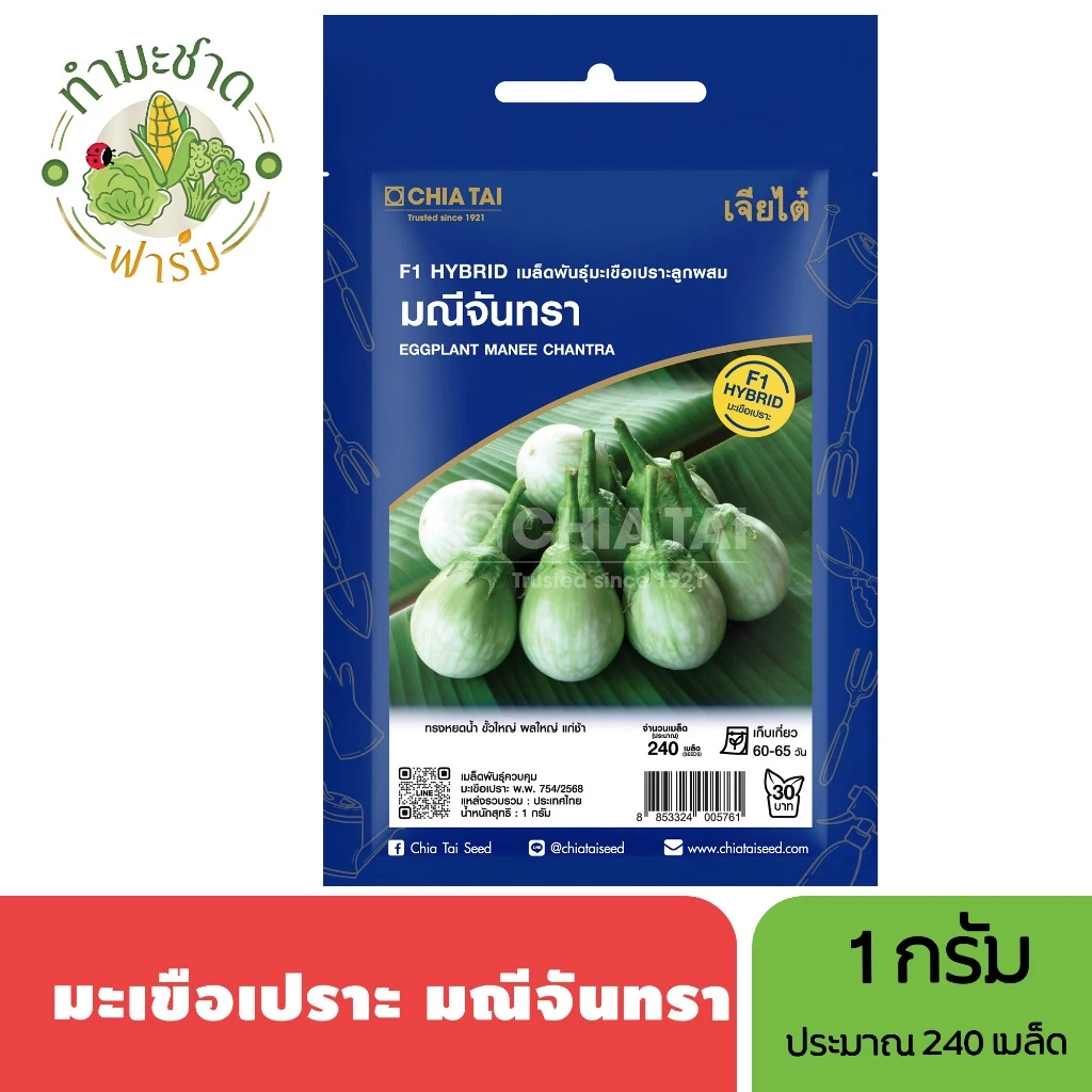 เจียไต๋ (Easy) เมล็ดพันธุ์ มะเขือเปราะมณีจันทรา ขนาด1กรัม ประมาณ240เมล็ด Round Eggplant มะเขือเปราะ มะเขือ เมล็ดพันธุ์