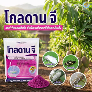 โกลดานจี ไดโนทีฟูแรน 1% GR ล้อตล่าสุด รองก้นหลุมก่อนปลูก ป้องกันแมลง ใช้ในไม้ดอกไม้ประดับ