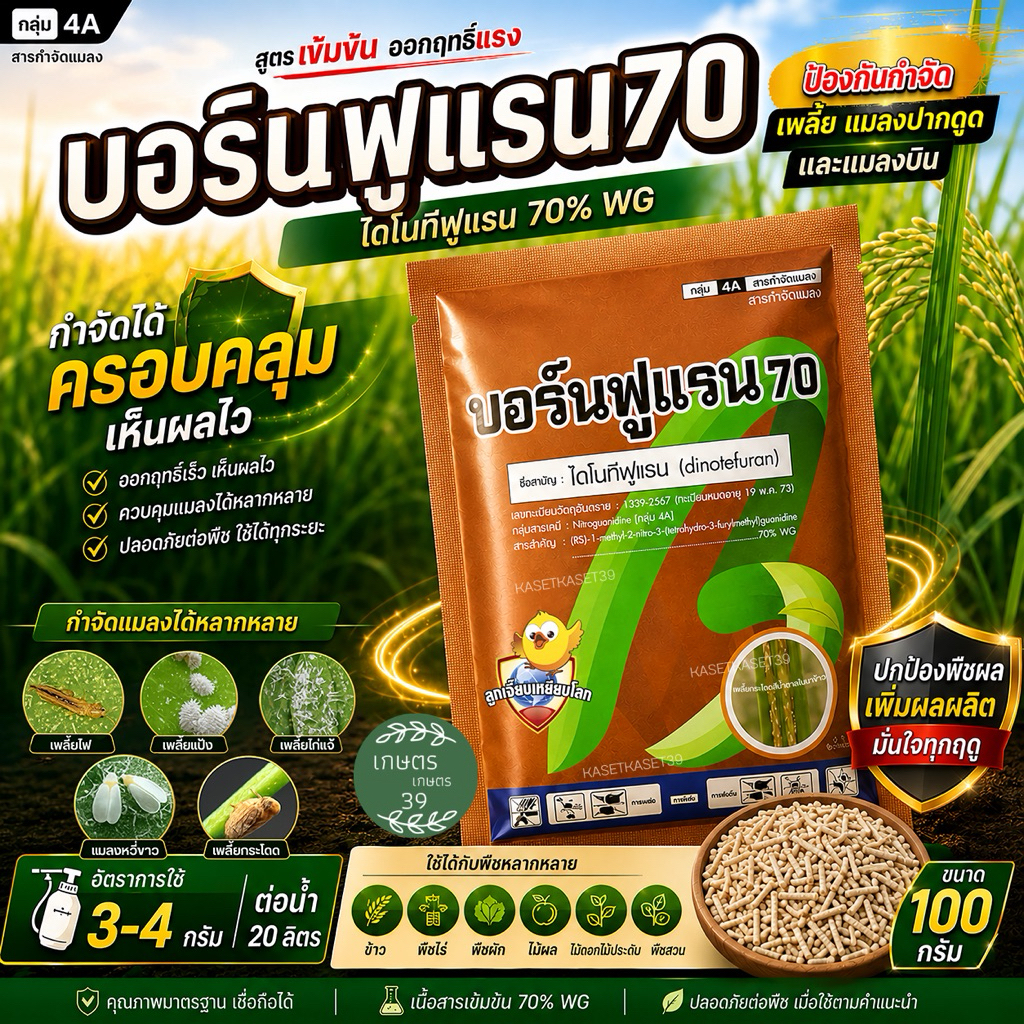 ไดโนทีฟูแรน 70% 100กรัม บอร์นฟูแรน70 ด้วงหมัดผัก เพลี้ยกระโดดสีน้ำตาล เพลี้ยไฟ