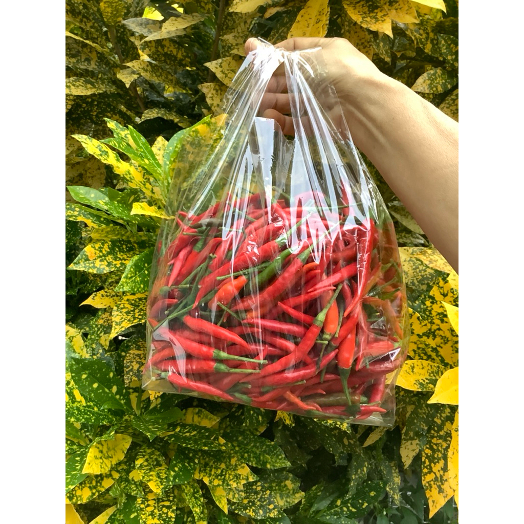 🌶️พริกจินดาแดง🌶️พริกสด🌶️พริกจินดาไทยสดสะอาด🛵พร้อมจัดส่ง