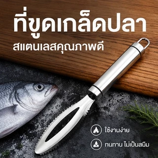 ที่ขูดเกล็ดปลา สแตนเลส 304 คมทนทาน ขูดเกล็ดสะอาด ไม่ทำร้ายเนื้อปลา ล้างง่าย จับถนัดมือ