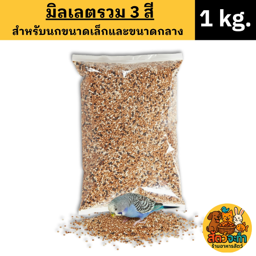 (ขนาด 1 kg.) อาหารนก มิลเล็ตรวม 3 สี สำหรับนกเขา นกเล็ก-ขนาดกลาง เช่น หงษ์หยก เลิฟเบิร์ด ค็อกกาเทล