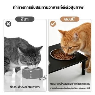 JAERSENT ชามเเมว มุมเอียง 0-6-12° ชามอาหารแมวสแตนเลส ป้องกันไม่ให้คางของคุณดำคล้ำ ปรับความสูงได้ 10-12-14 ซม.