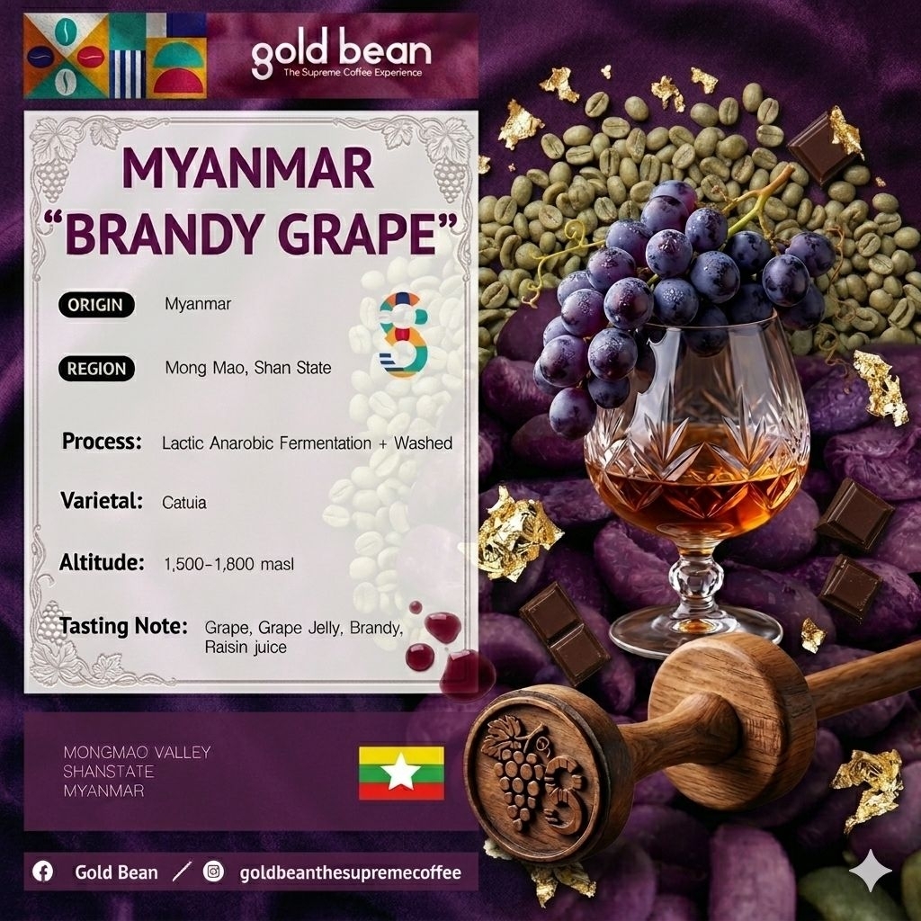 สารกาแฟ MYANMAR SHAN STATE "BRANDY GRAPE"