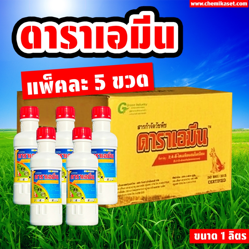 (แพ็คละ 5 ขวด) ดาราเอมีน ขนาด 1 ลิตร ทูโฟดีน้ำ ตรา หมาแดง หมาแดงน้ำ กำจัดวัชพืชใบกว้าง