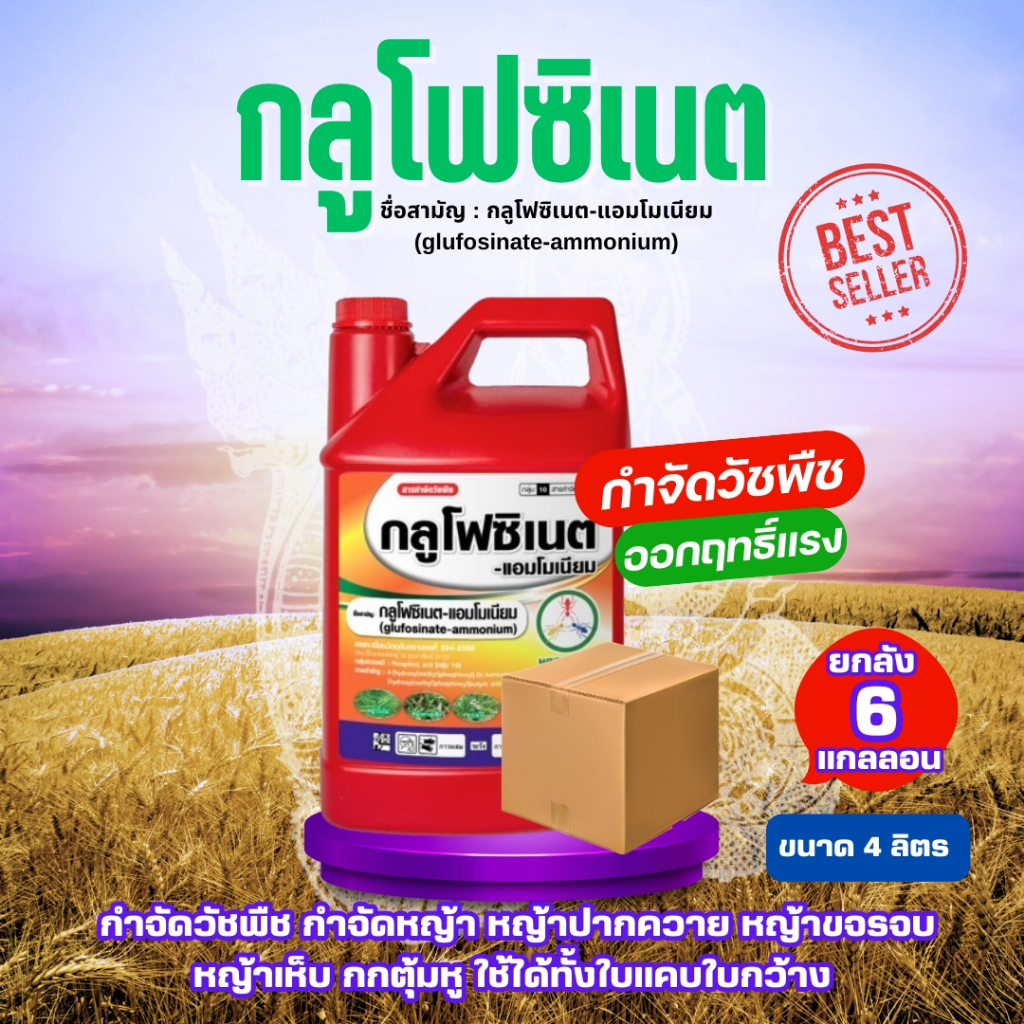 [ยกลัง 6 แกลอน ]กลูโฟซิเนต 4ลิตร มดจอมพลัง ยาฉีดหญ้า ทนฝน กลูโฟซิเนตแอมโมเนียม  ป้องกันวัชพืชแบบใบแคบ และใบกว้าง วัชพืชห