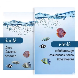 จุลินทรีบ่อปลา Nitrifying Bacteria ยาปรับสภาพน้ำไม่มีสารเคมีปลอดภัย ปรับปรุงคุณภาพน้ำ ดูแลสุขภาพปลา 500ml