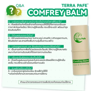 [ 3 ชิ้น ] TERRA PAFE COMFREY BALM บาล์มคอมเฟรย์ บาล์มหอมอโรม่า 7g