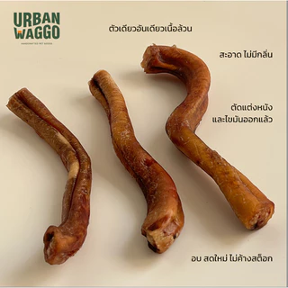 Bully Stick ตัวเดียวอันเดียววัวอบแห้ง จู๋วัว ขนมขัดฟัน ขนมสุนัข ขนมน้องหมา Urban Waggo