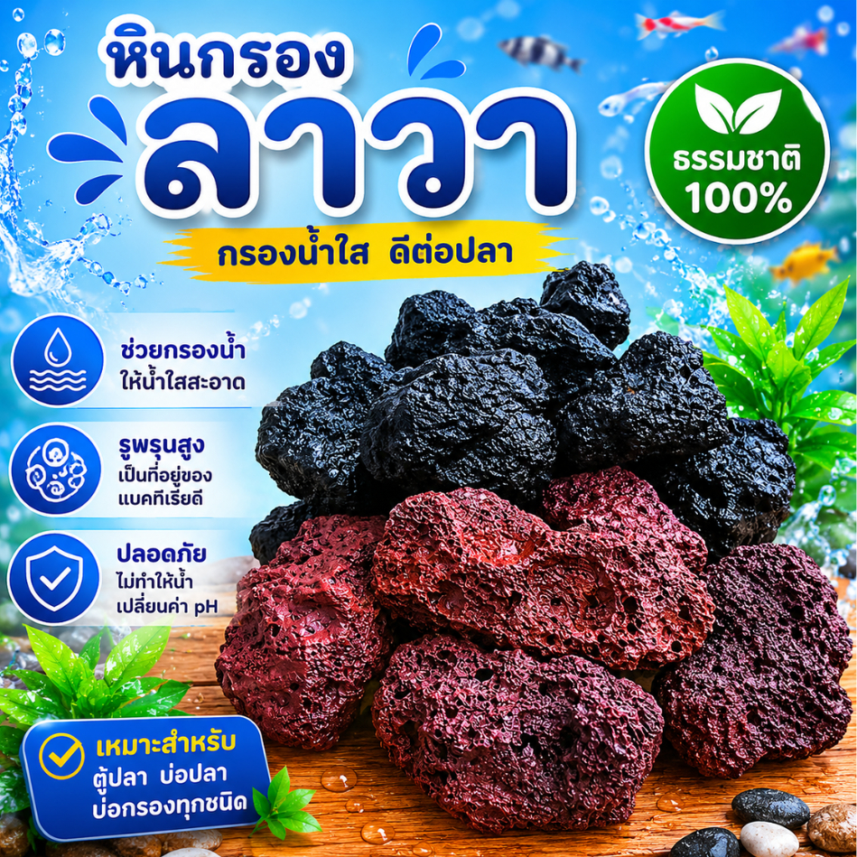 หินภูเขาไฟ และหินลาวาแดง วัสดุกรองจากธรรมชาติ ช่วยดูดซับสารพิษ สารแอมโมเนีย ไนไตรต์ ไนเตรต มีรูพรุนสูง