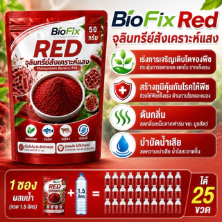 BioFix Red จุลินทรีย์สังเคราะห์แสงสีแดง PSB 50g. ใช้ได้เลยไม่ต้องรอข้ามคืน