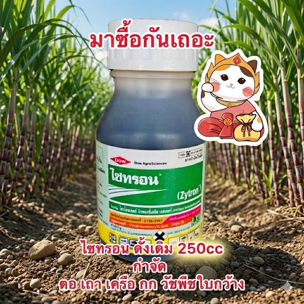 ไซทรอน ไตรโคลเพอร์ ยาฆ่าหญ้า สารกำจัดวัชพืช ใบกว้าง เครือเถา ต้นไม้ ตอไม้ ทุกชนิดในอ้อย ข้าว ข้าวโพด ขนาด 250 ซีซี