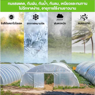 COD พลาสติกคลุมโรง วัสดุ PE (เกรด AAA) หนา 120/150/200ไมครอน คลุมหลังคากันสาด