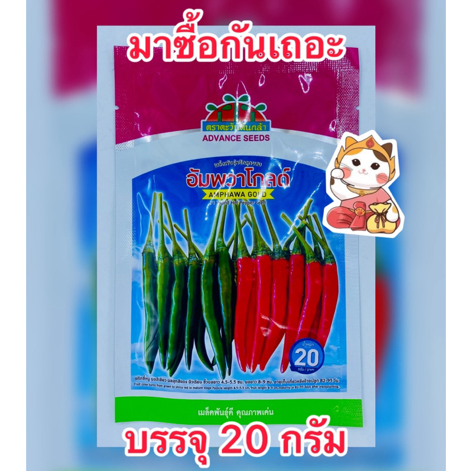 อัมพวาโกลด์ พริกลูกผสม ตราตะวันต้นกล้า บรรจุ 20 กรัม/ซอง