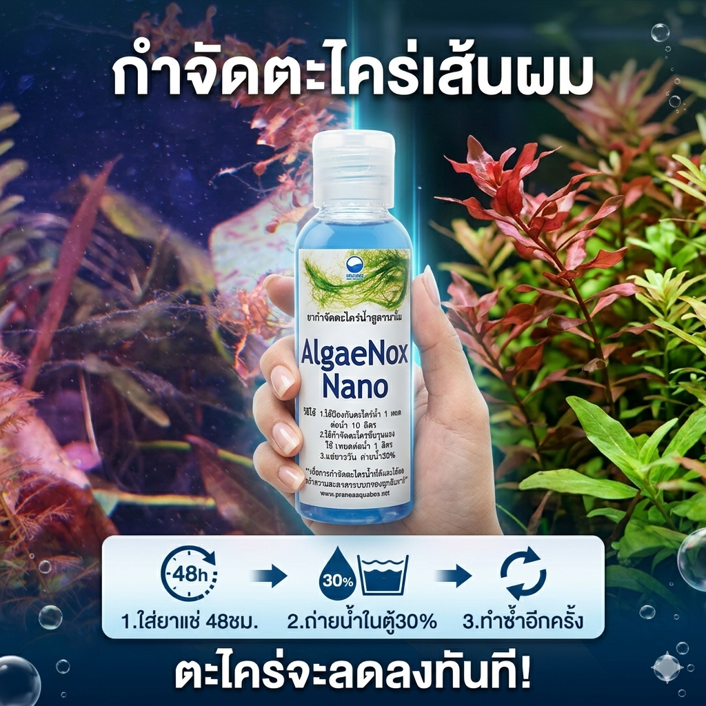 Algae Nox nano ยากำจัดตะไคร่เส้นผม 120ml.
