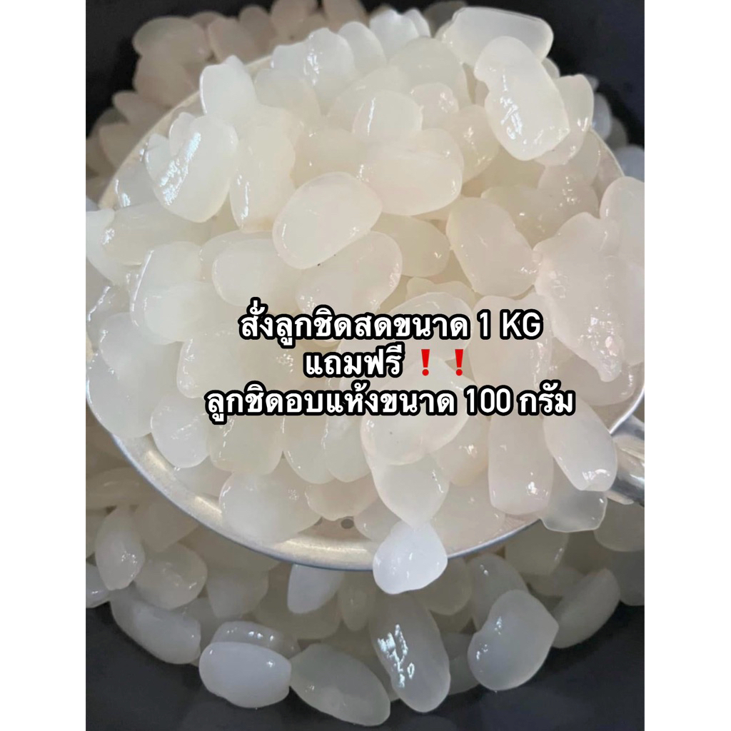 ลูกชิดสดขนาด 1kg ลูกชิดใหม่ฤดูกาลนี้ ไม่ฟอกสารสีธรรมชาติจากป่า