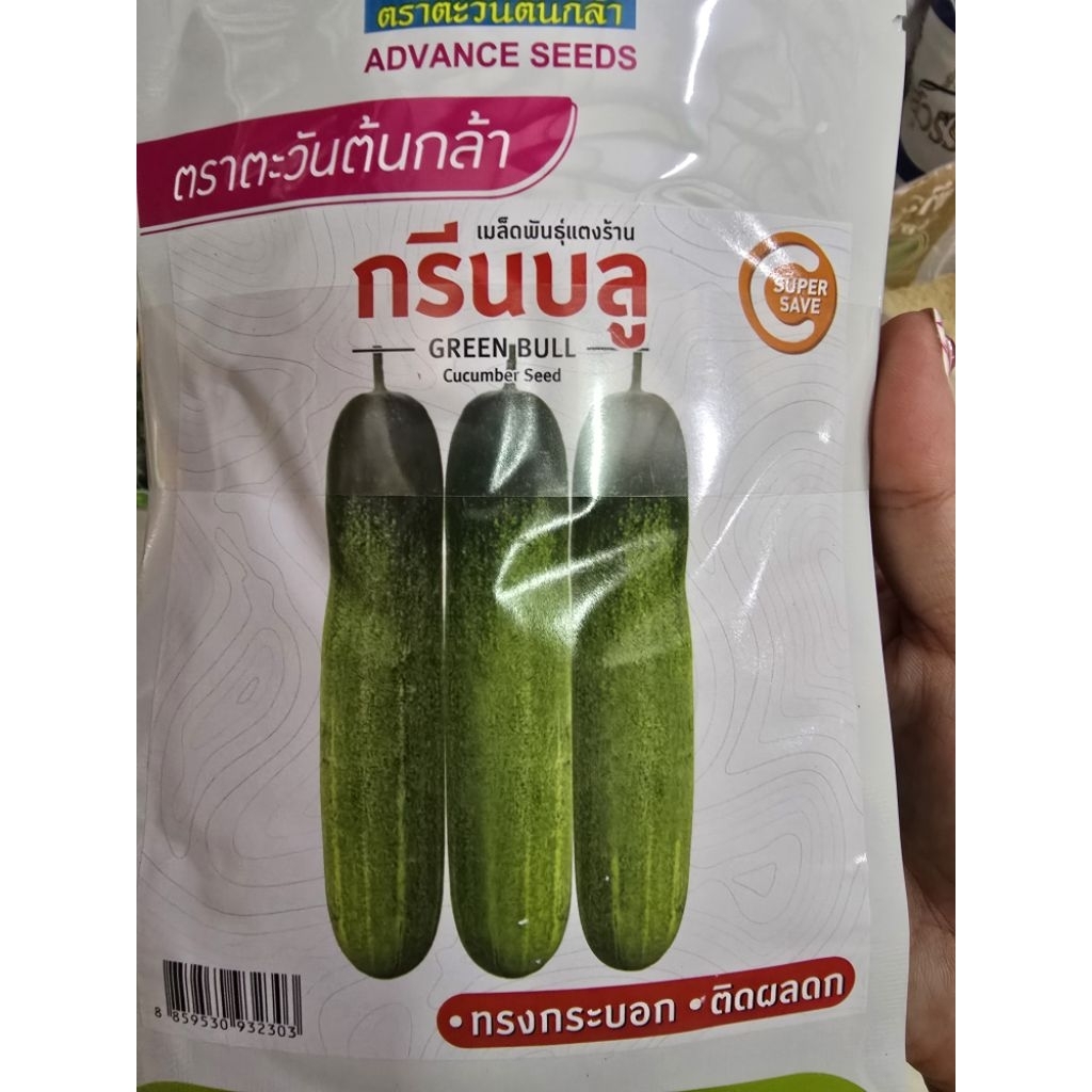 เมล็ดแตงร้าน กรีนบลู ตรา ตะวันต้นกล้า ขนาด 20 กรัม ผิวเรียบ เขียวนวล ผลดก เนื้อกรอบ ของใหม่แบบซองนะคะ