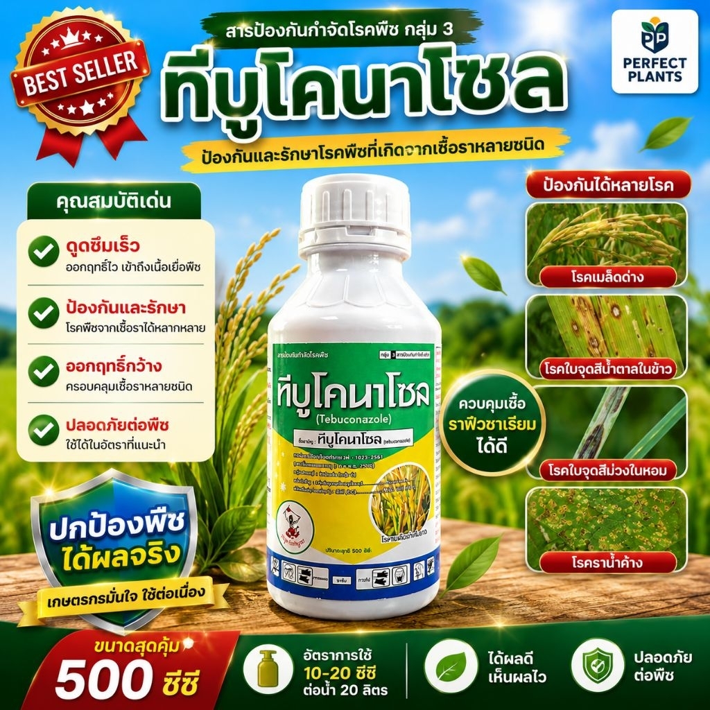 ทีบูโคนาโซล *ป้องกันและกำจัดโรคพืชที่กิดจากเชื้อราหลายชนิด*