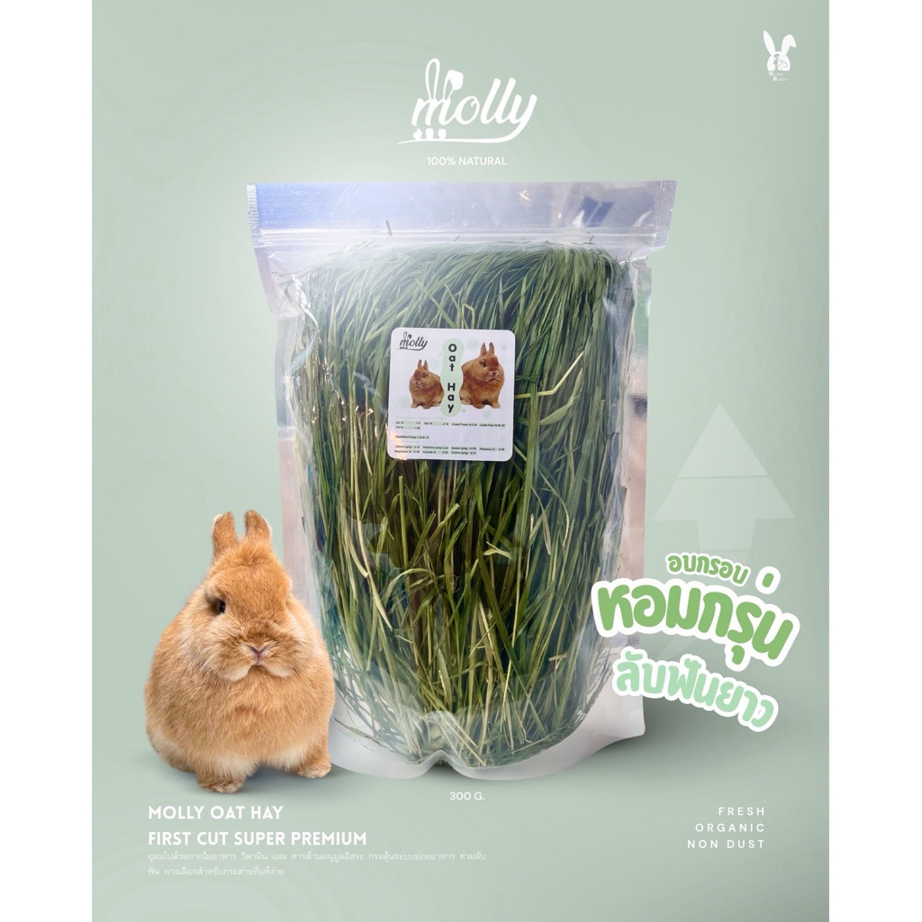 หญ้า oat hay แบบอบเขียว หอม สดใหม่