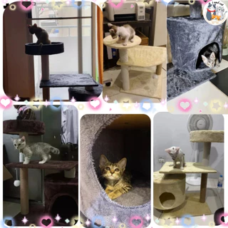คอนโดแมวราคาถูก คอนโดแมว ไซส์มินิ ที่นอนแมว บ้านแมว ของเล่นแมว ที่ฝนเล็บแมว ของใช้แมว เสาลับเล็บแมว เตียงแมว