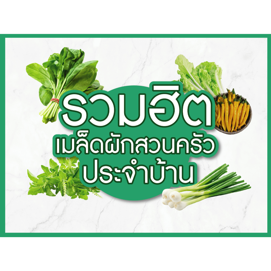 เมล็ดพันธุ์ผักรวม หลากหลายชนิด ผักสวนครัวยอดนิยม เมล็ดพันธุ์คุณภาพ เกรดมาตรฐาน [คุ้มสุดๆ]