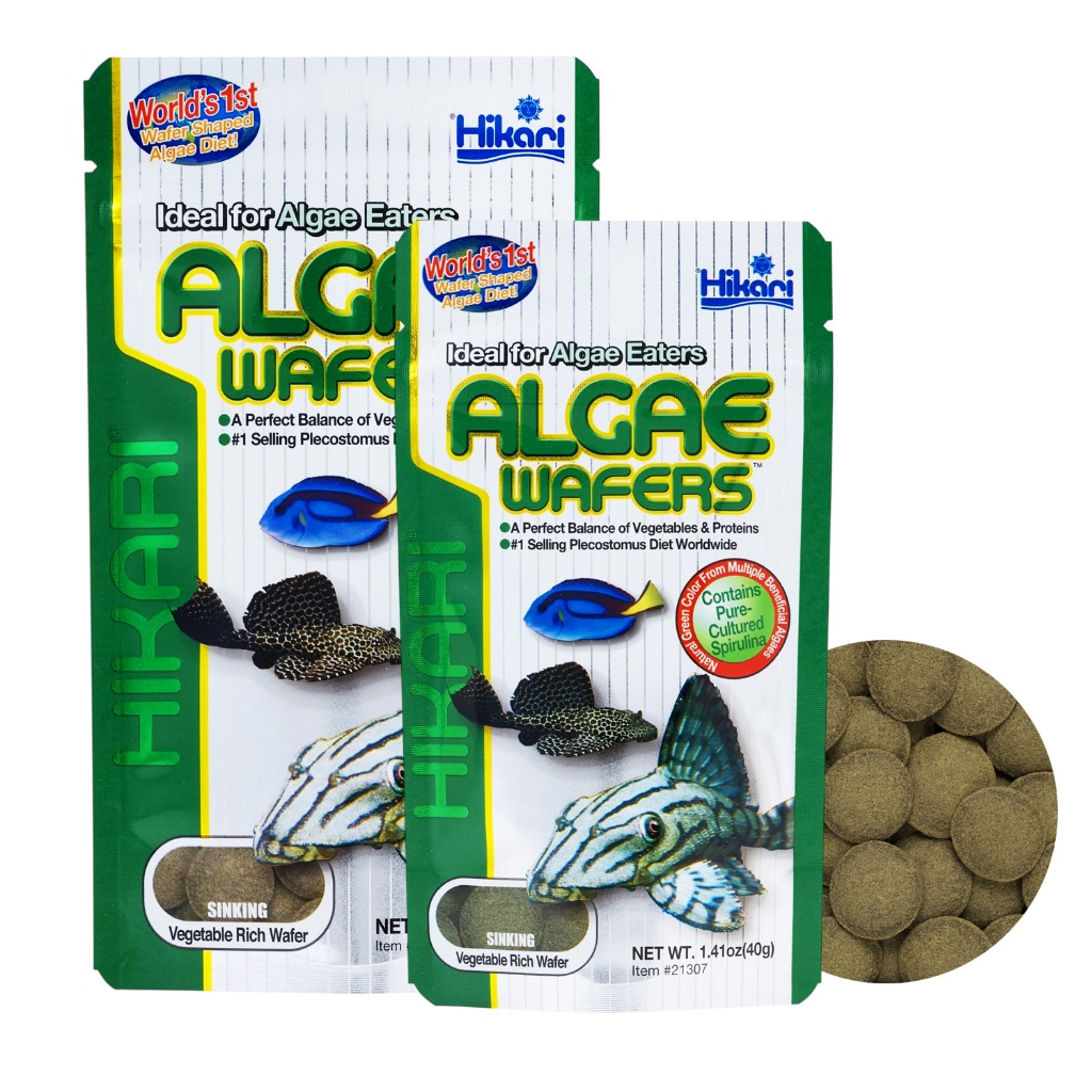 อาหารปลา Hikari Algae Wafer แผ่นจมน้ำ สำหรับปลากินพืช