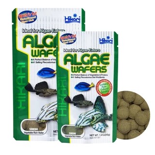 อาหารปลา Hikari Algae Wafer แผ่นจมน้ำ สำหรับปลากินพืช