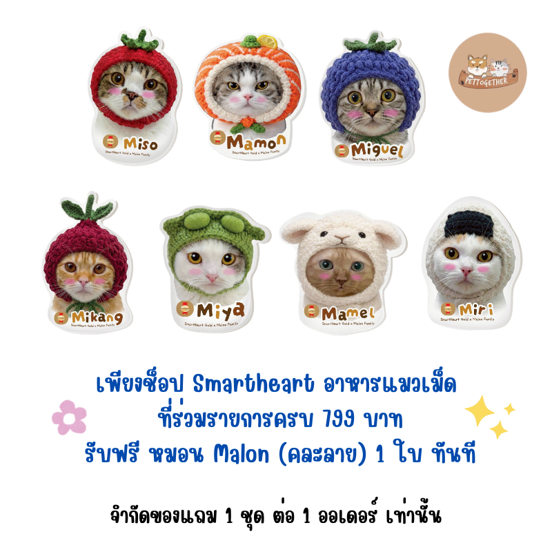 (สินค้าแถมห้ามกดสั่งซื้อ) แถม 1 ชิ้น ต่อ 1 ออเดอร์ หมอน Malon (คละลาย) จำนวน 1 ใบ