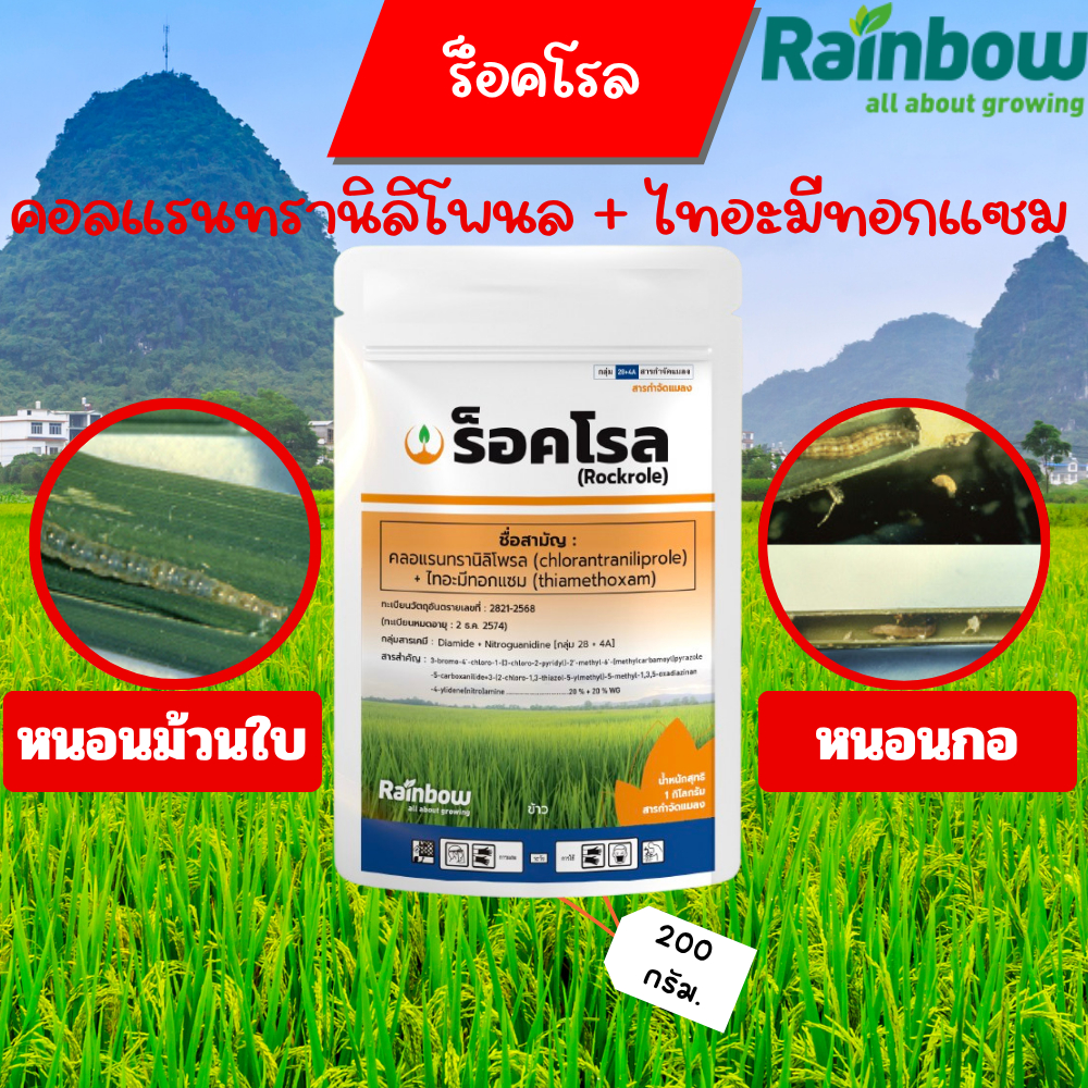 ร็อคโรล 200 กรัม ฉีดพ่น 10 ไร่ ดยอดพลังปราบหนอนร้าย ที่เหนือกว่า !