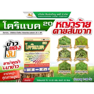 โคริแบค ขนาด 100 กรัม และ 500 กรัม บิสไพริแบค-โซเดียม 20% ตราสิงห์เจริญ