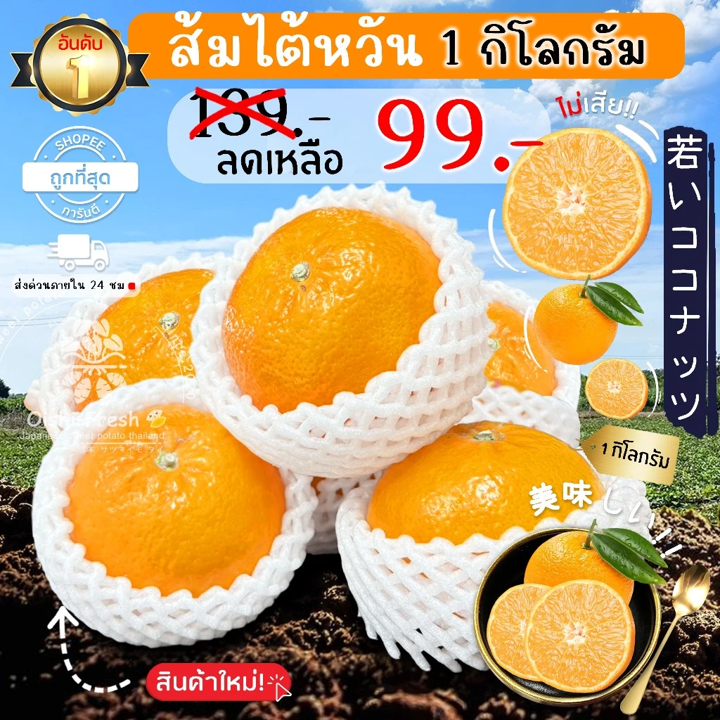 🇨🇳Oishi-fresh🦜🍊ส้มใต้หวัน S(70)หวานจัด หอมส้ม เปลือกร่อน รสชาติหวาน หอม กลิ่นส้ม สด ใหม่ ใยอาหารสูง เคลมได้ 1-2 วัน