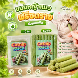 Thai.th ขนมหญ้าแมว ผลิตจากต้นอ่อนข้าวสาลี ช่วยขัดฟัน 1 ถุง บรรจุ 10 ชิ้น Catnip Sticks 10pcs