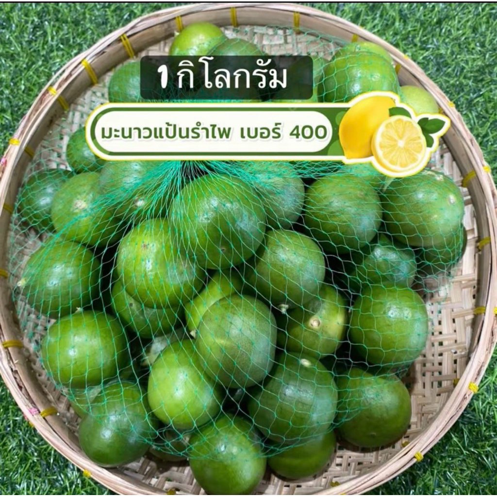 🍋มะนาวแป้นรำไพแท้เปลือกบางน้ำเยอะ(เบอร์ 400 🍋)