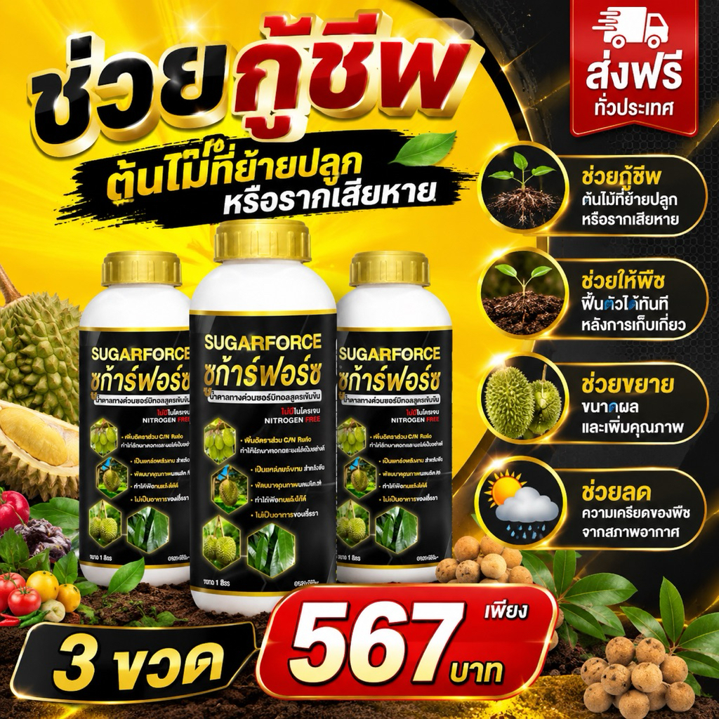 ซูก้าฟอส 3ขวด น้ำตาลทางด่วน ช่วยให้พืชดูดซึม สารอาหารได้ทันที ลดการหลุดร่วงของดอก และผล 1ลิตร 3ขวด