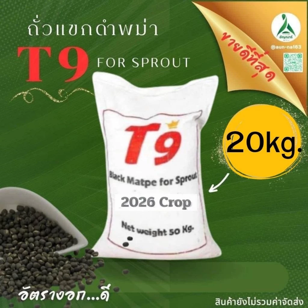 เมล็ดถั่วแขกดำ T9 ปี2026(ขนาด 20 กิโล)สำหรับเเพาะถั่วงอก